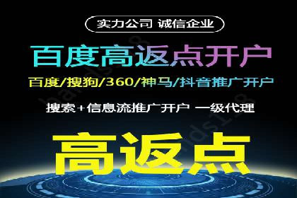 电商SEM推广案例解析
